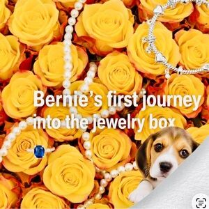 JEWELRY LIVE Show with BERNIE!